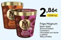 FROIZ Frigo Magnum bon-bon oferta