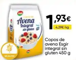 FROIZ Copos de avena Esgir integral sin gluten oferta