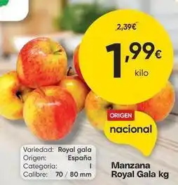 FROIZ Gala - manzana royal oferta