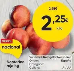 FROIZ Origen - nectarina roja oferta