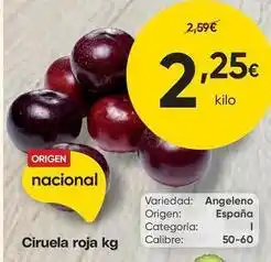 FROIZ Origen - ciruela roja oferta