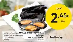 FROIZ Mejillon oferta