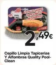 FROIZ Quality - cepillo limpia tapicerias y alfombras pool- clean oferta