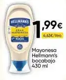 FROIZ Hellmann's - mayonesa bocabajo oferta