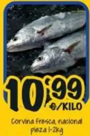 Cash Fresh Corvina fresca nacional oferta