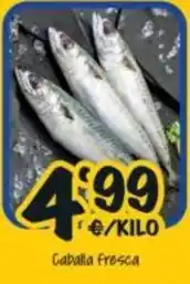 Cash Fresh Caballa fresca oferta