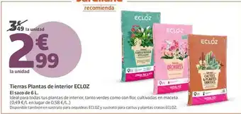Ecloz - trenas plantas de interior