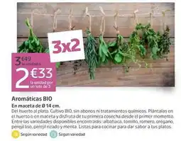 Jardiland Bio - aromaticas bio oferta