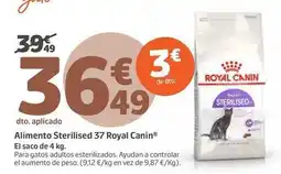 Jardiland Royal canin - alimento sterilised 37 oferta