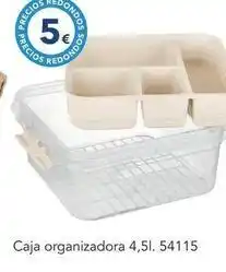 Tiendas MGI Caja organizadora oferta
