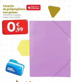 Alcampo Carpeta de polipropileno con gomas oferta