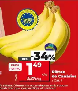 Dia Plàtan de Canàries oferta