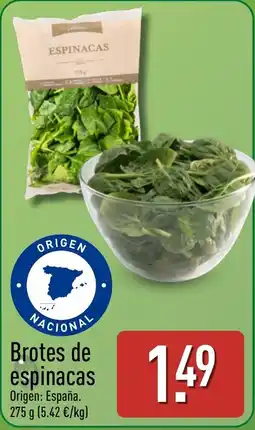 ALDI Brote de espinacas oferta