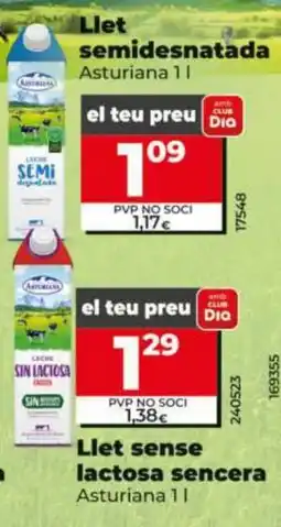 Dia Asturiana llet semidesnatada oferta