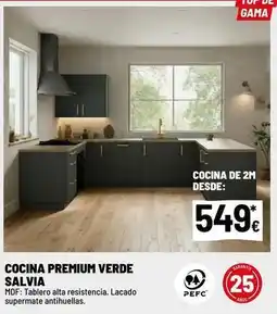 Brico Depôt Premium - cocina verde oferta
