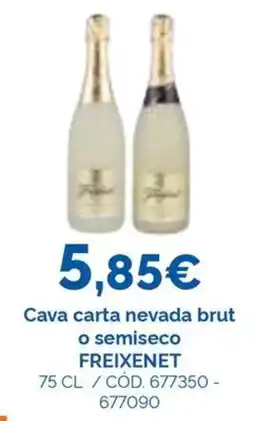 Dialsur Cash & Carry freixenet cava carta nevada brut o semiseco oferta