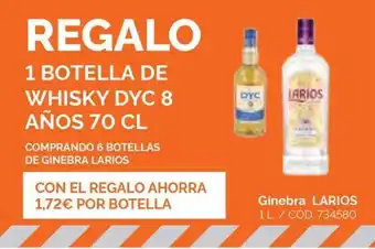 Dialsur Cash & Carry Ginebra LARIOS oferta