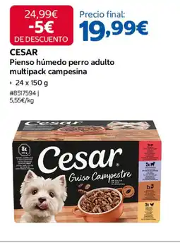 Costco Cesar pienso húmedo perro adulto multipack campesina oferta