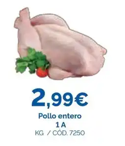 Dialsur Cash & Carry Pollo entero oferta