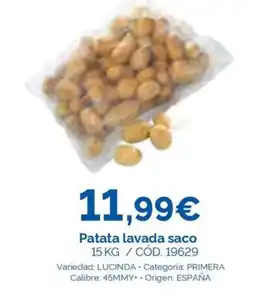 Dialsur Cash & Carry Patata lavada saco oferta