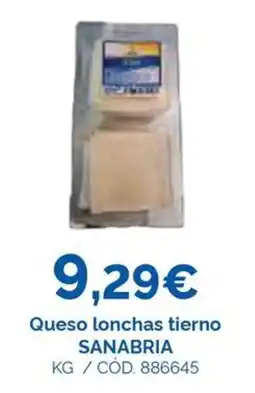 Dialsur Cash & Carry Sanabria queso lonchas tierno oferta
