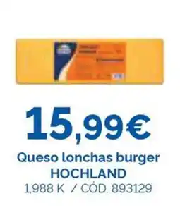 Dialsur Cash & Carry Hochland queso lonchas burger oferta