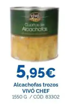 Dialsur Cash & Carry Vivó Chef alcachofas trozos oferta