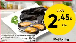 FROIZ Mejillón kg oferta