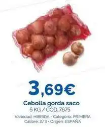 Dialsur Cash & Carry Origen - cebolla gorda saco oferta