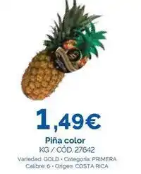 Dialsur Cash & Carry Gold - piña color oferta