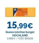 Dialsur Cash & Carry Hochland - queso lonchas burger oferta