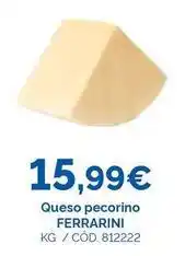 Dialsur Cash & Carry Ferrarini - queso pecorino oferta