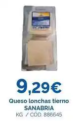 Dialsur Cash & Carry Sanabria - queso lonchas tierno oferta
