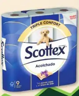 Coaliment Scottex - paper higienic oferta