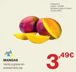Supercor Producto Canario mangas oferta