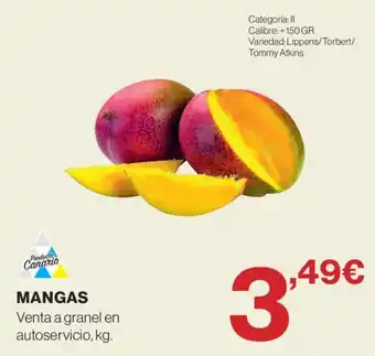 Producto Canario mangas
