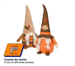 Action Gnomo de otono oferta