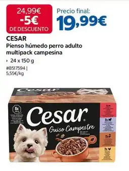 Costco Cesar - pienso húmedo perro adulto multipack campesina oferta