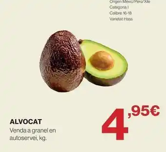 Origen - alvocat