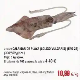 Abordo Calamar de playa (loligo vulgaris) (fao 27) oferta