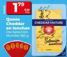 Dia Dia seleccion mundial - queso cheddar en lonchas oferta
