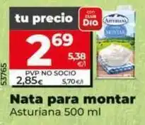 Dia Asturiana - nata para montar oferta