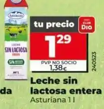 Dia Asturiana - leche sin lactosa entera oferta