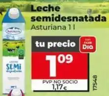 Dia Asturiana - leche semidesnatada oferta