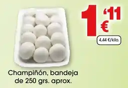 TOP Cash & Carry Champiñón oferta