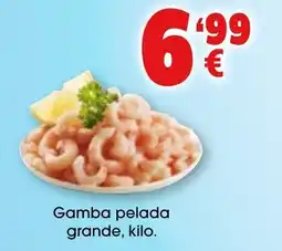 TOP Cash & Carry Gamba pelada grande oferta