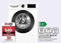Tien 21 Bosch - lavadora wgg2524ees oferta