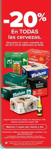 Carrefour Todas las cervezas oferta
