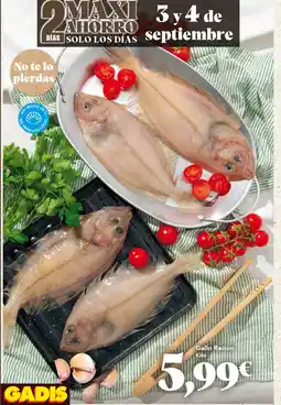 Gadis Gallo Ración oferta