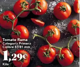 Gadis Tomate Rama oferta